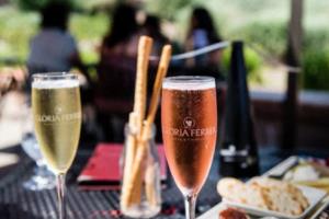 尔摩日主场力克第戎，继续保持不败