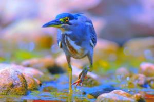 欧塞尔继续领跑积分榜，继续保持不败