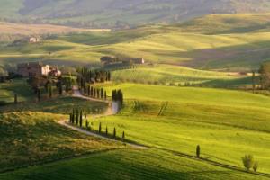 欧塞尔继续领跑积分榜，继续保持不败