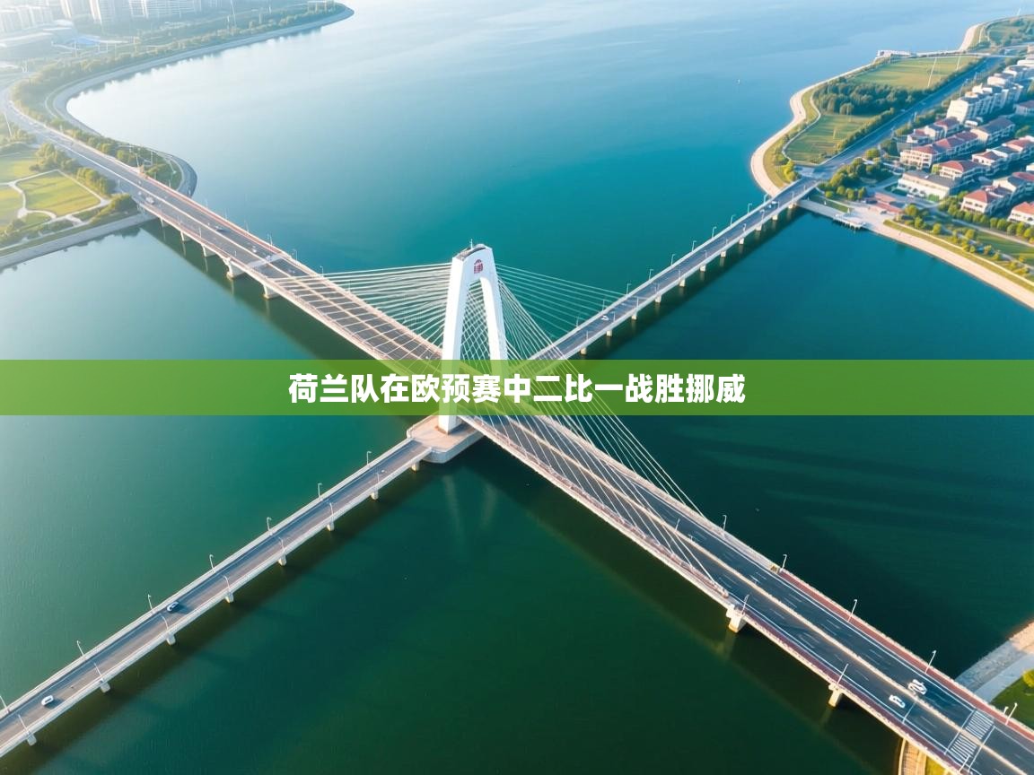 荷兰队在欧预赛中二比一战胜挪威