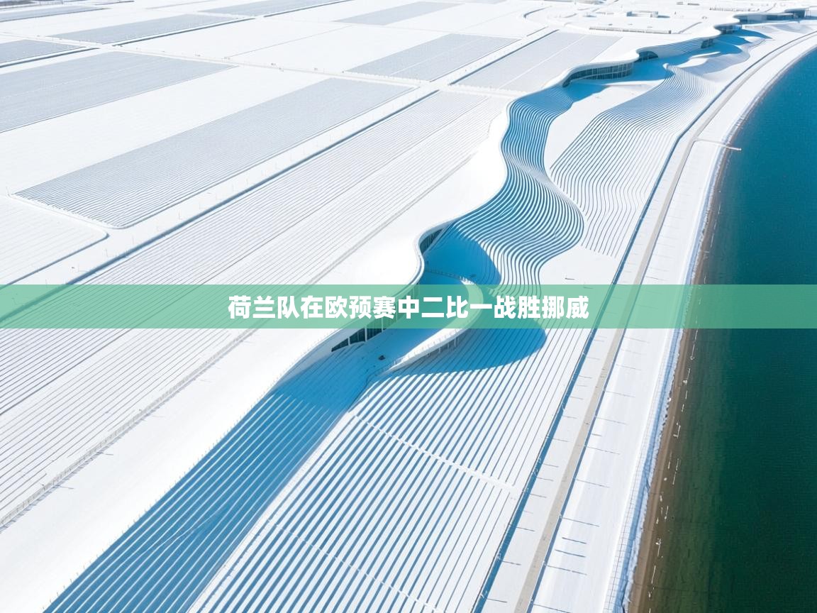 荷兰队在欧预赛中二比一战胜挪威 第2张