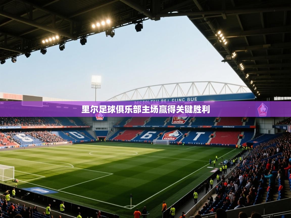 里尔足球俱乐部主场赢得关键胜利  第1张